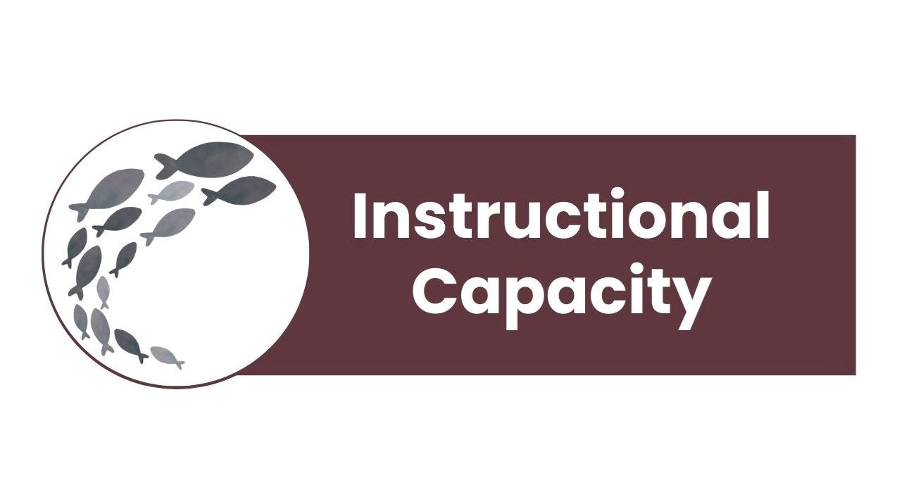 Instructional Capacity