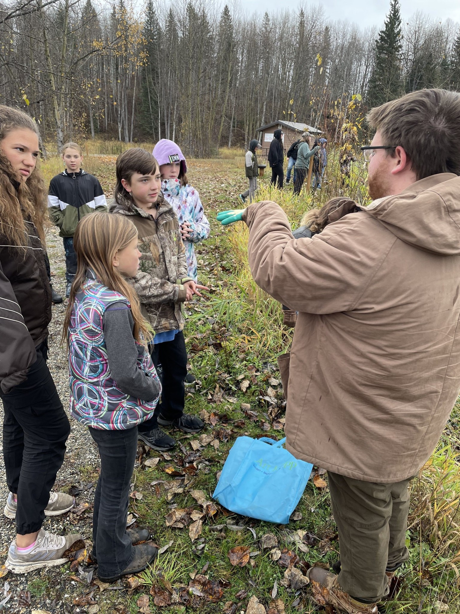 Learning About Plants