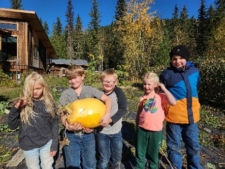 BL Garden Harvest 2 Sari Small