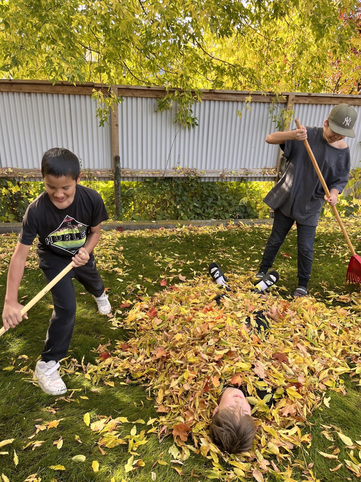 Ms McCoubreys Grade 7 Class 