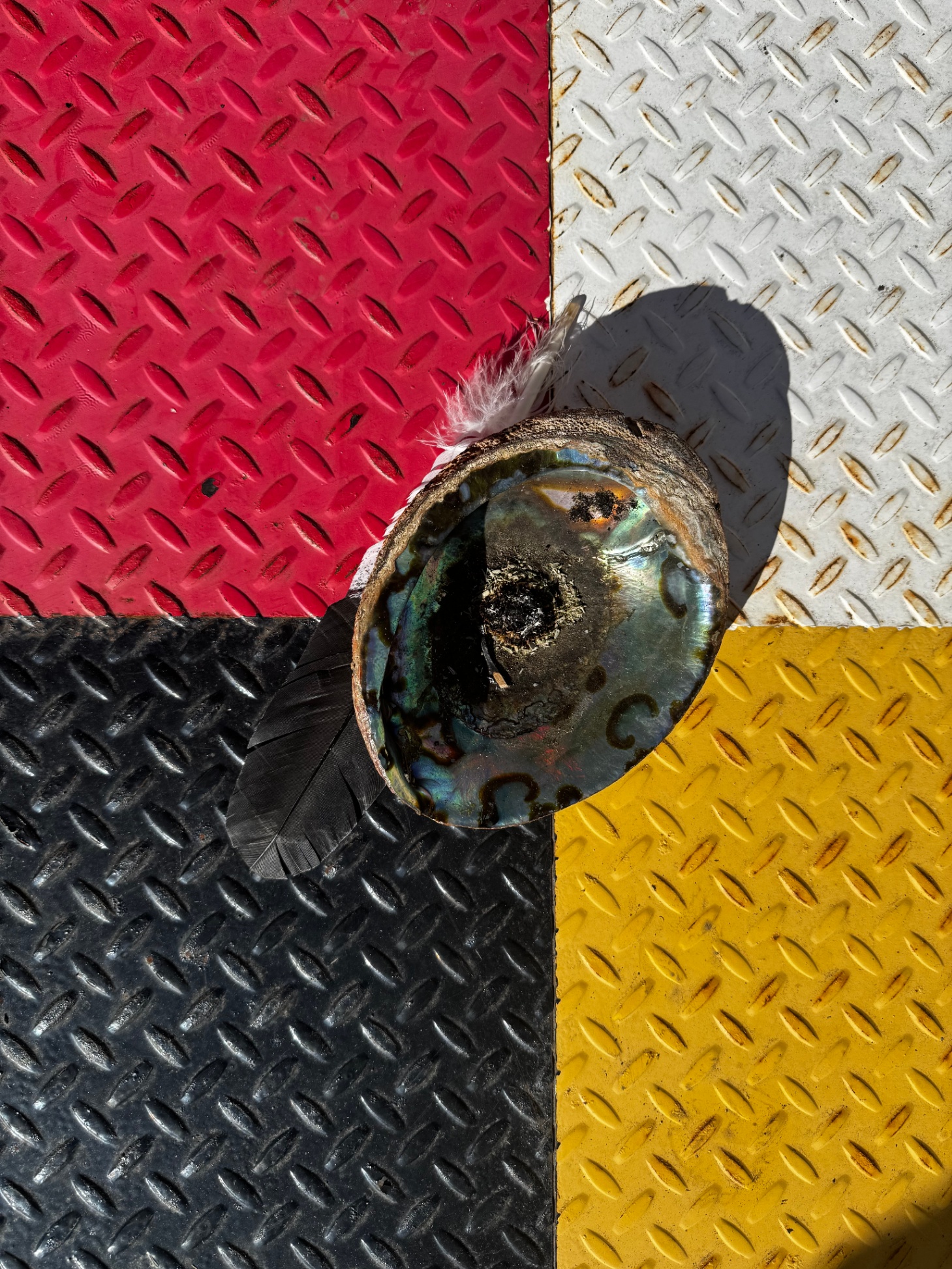 IMG 6057 heather auger