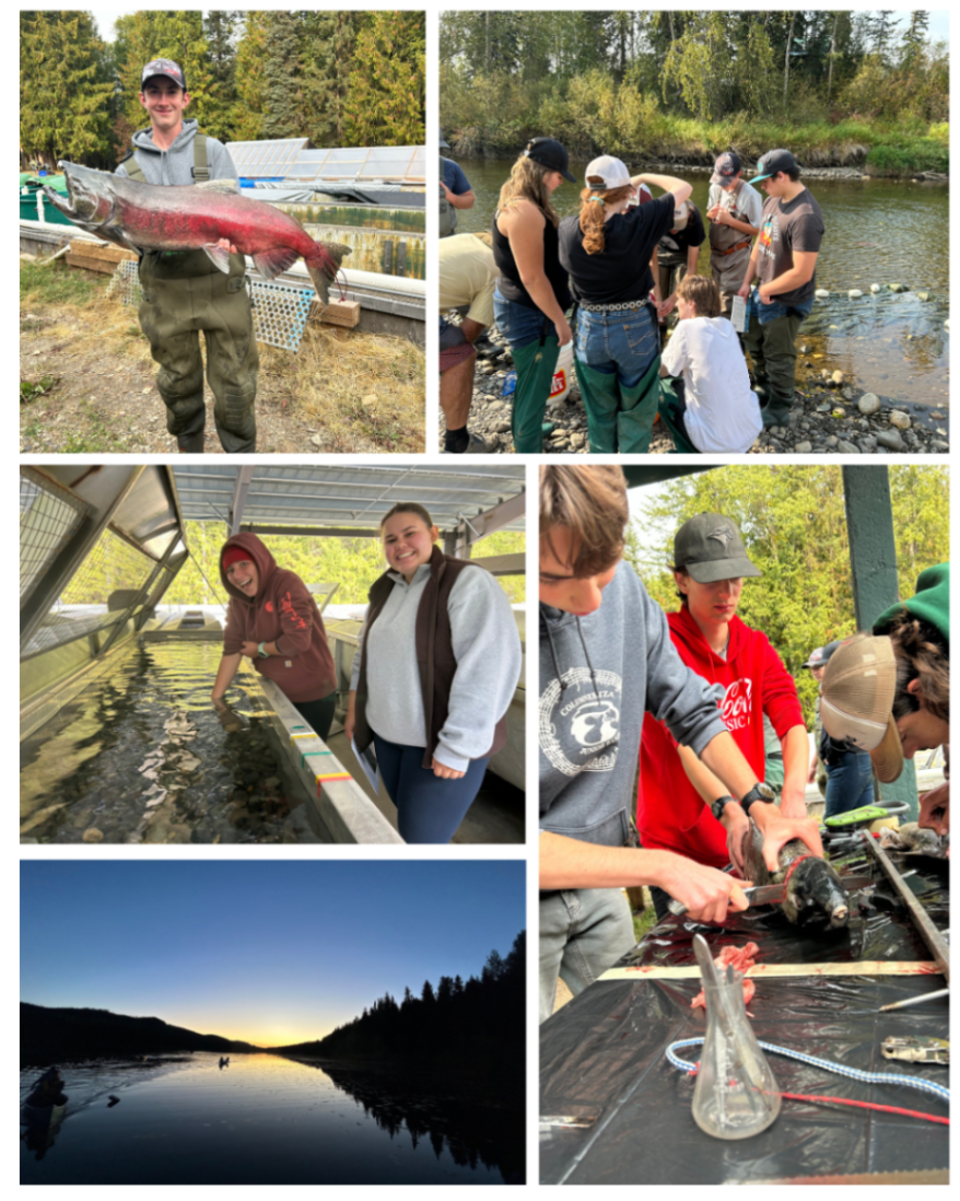 Salmon Trip Photos Nara Riplinger