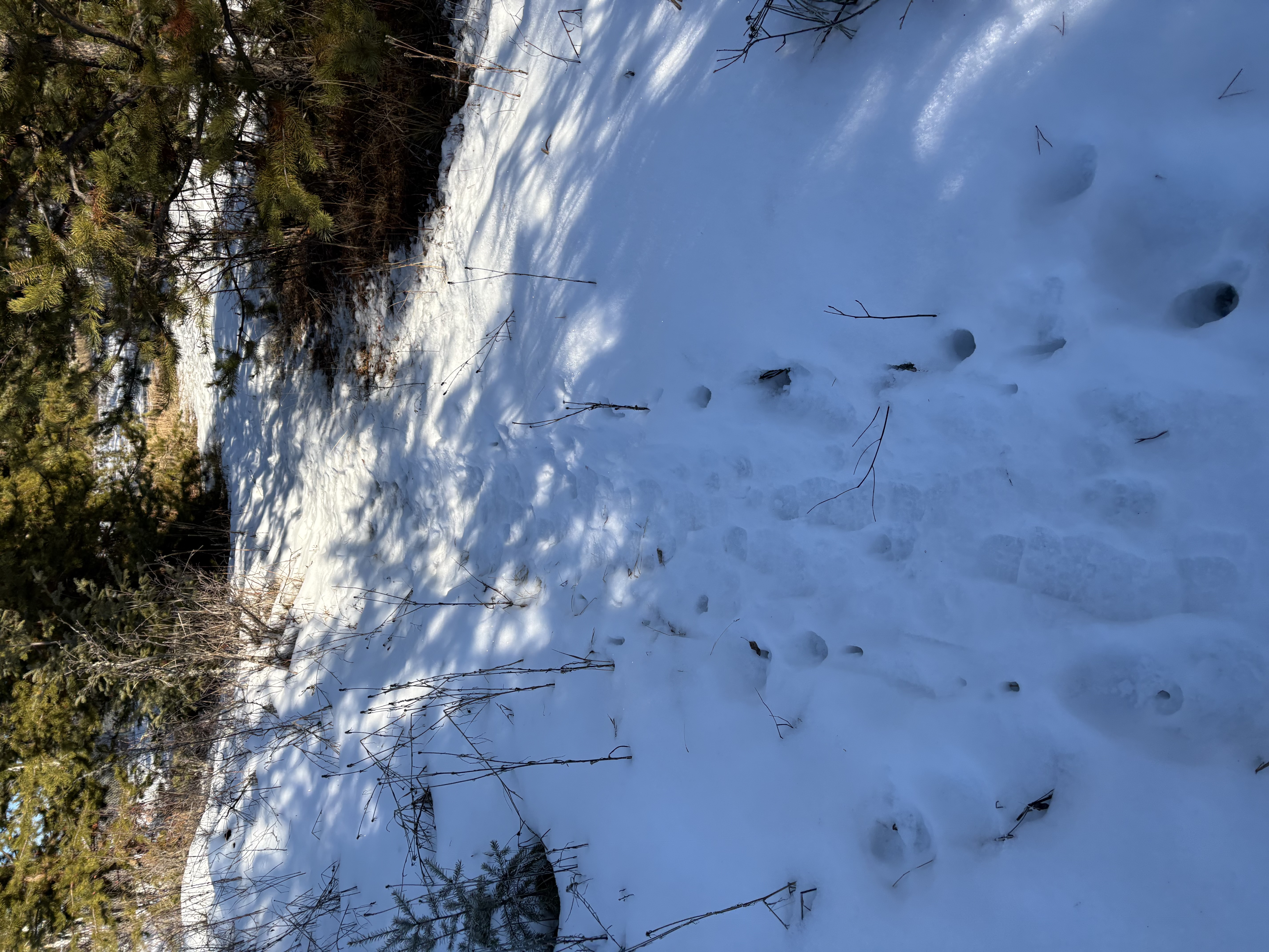 Outdoor learning conversation todd routtu