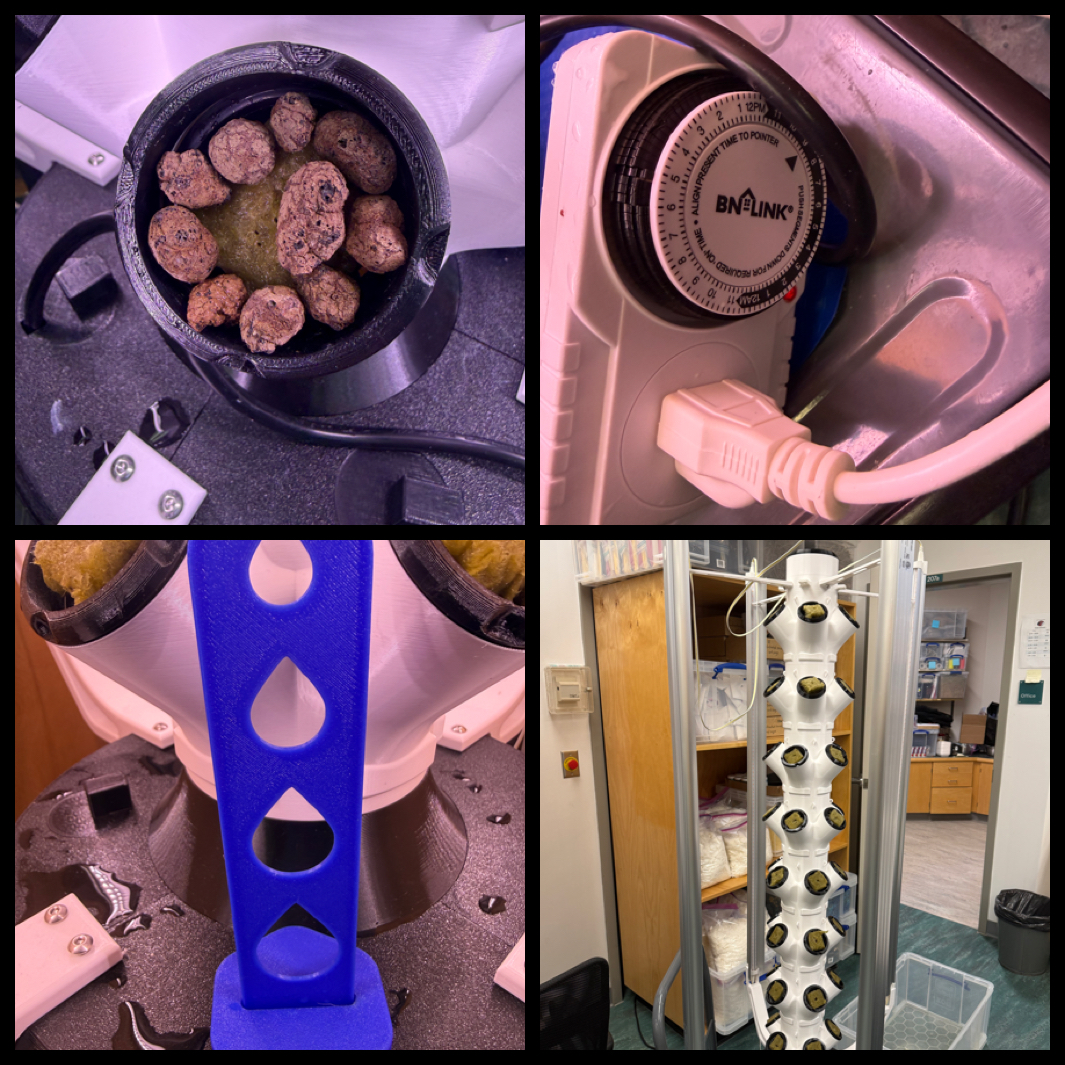 Medicine Monday Dancing Water Sandy