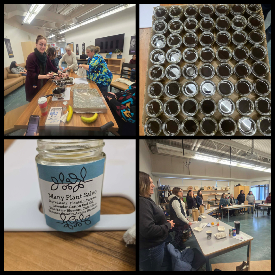 Medicine Series Professional Development Day1 Dancing Water Sandy