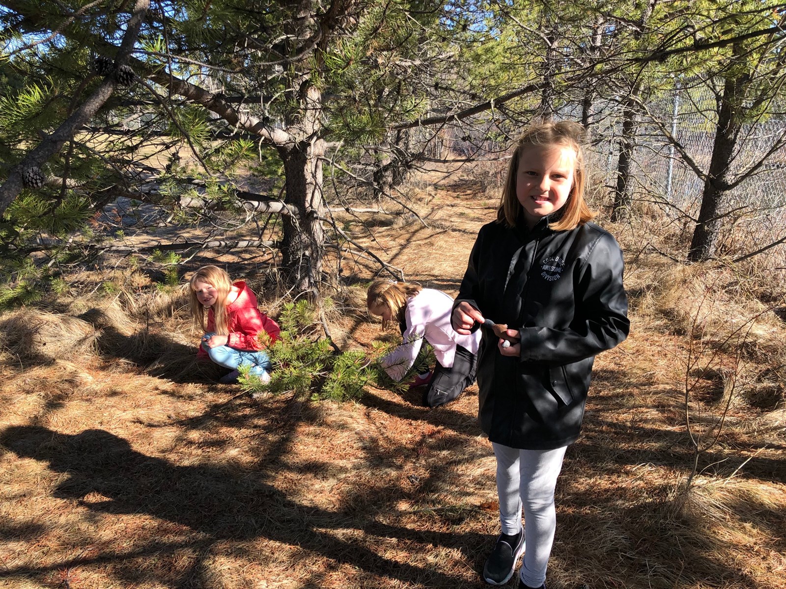 Kids%20foraging%20in%20forest.jfif