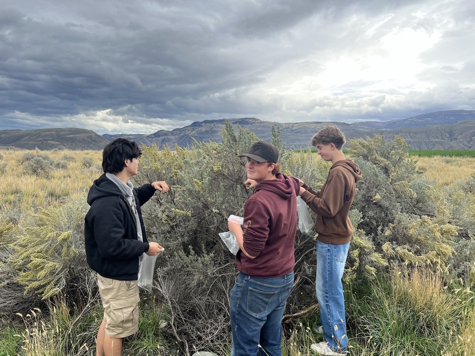 PSO Annual Sage Picking Trip