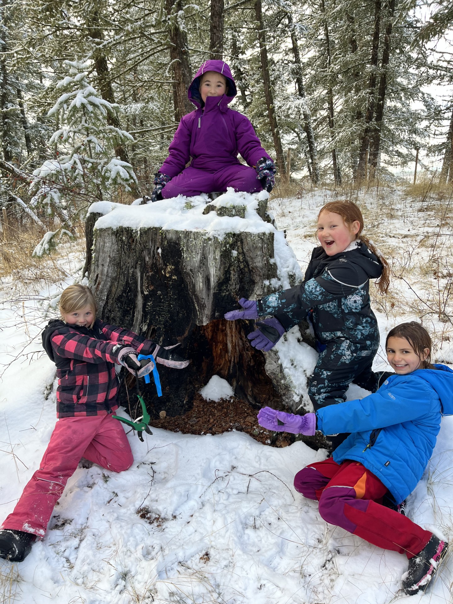 Winter Habitat2 Craig Munroe