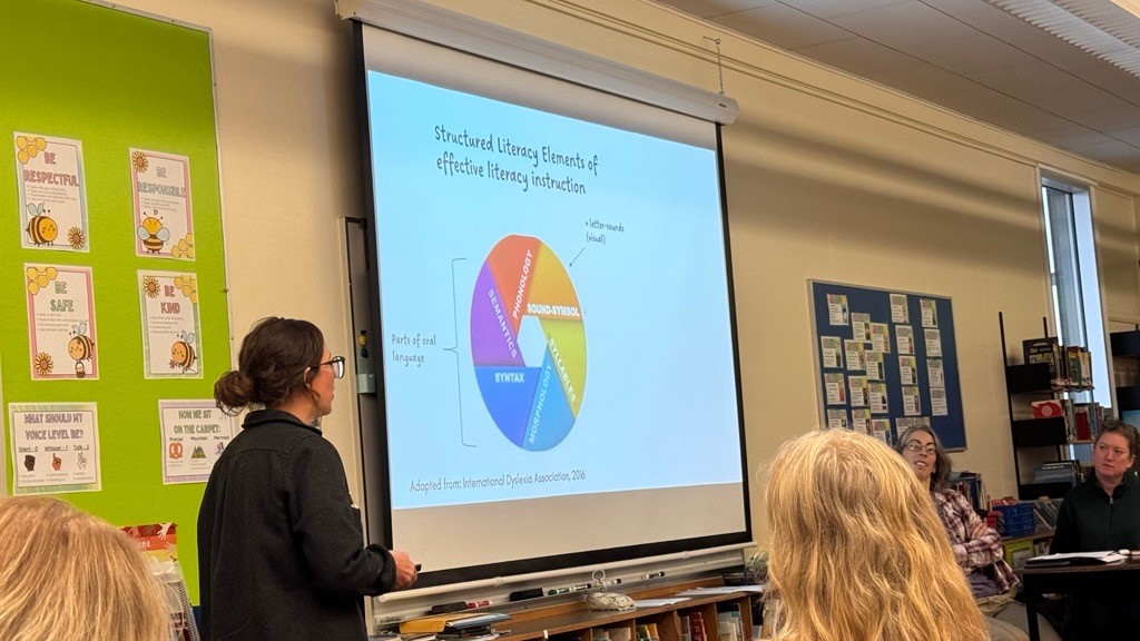 Building STrong Readers 2 crystaldawn langton