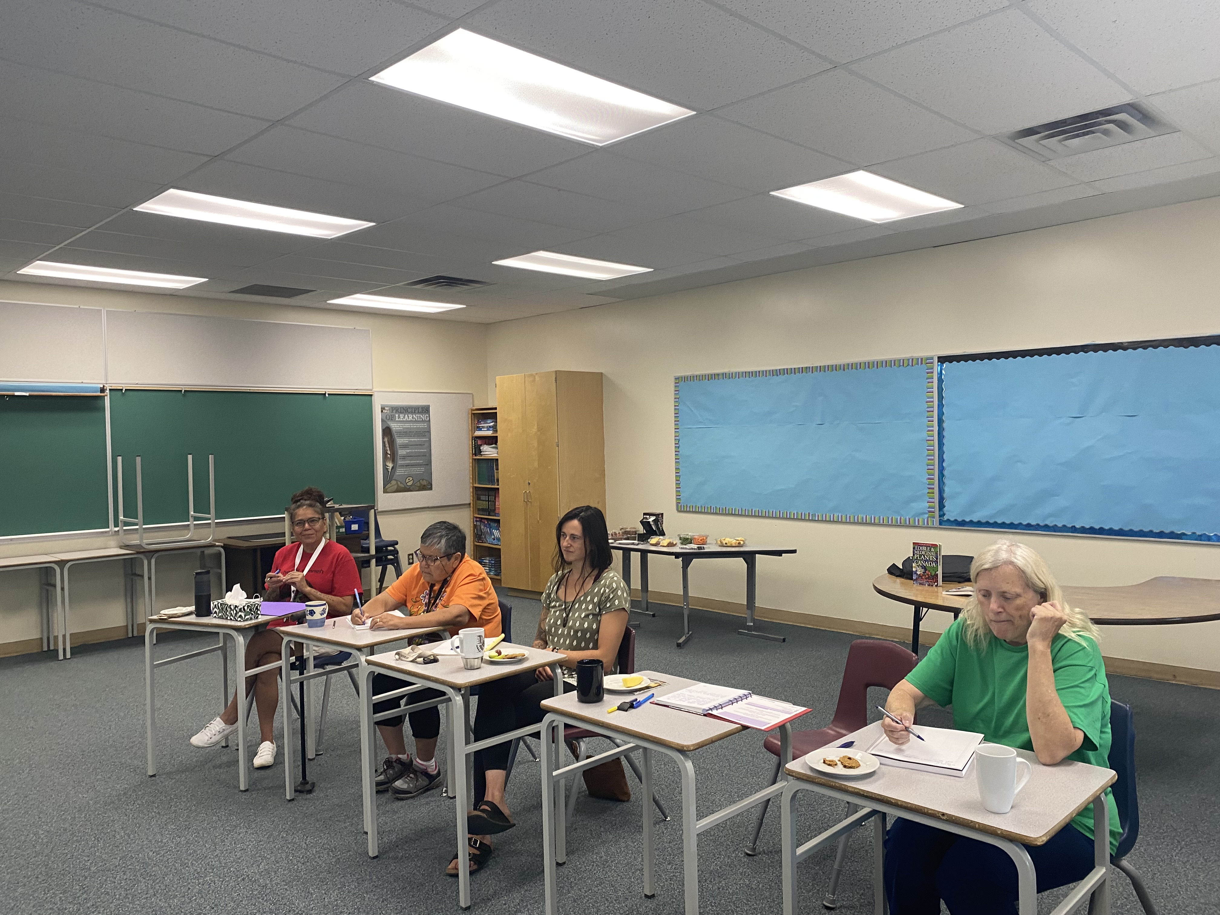 District Pro D at Alexis Creek School helen wight