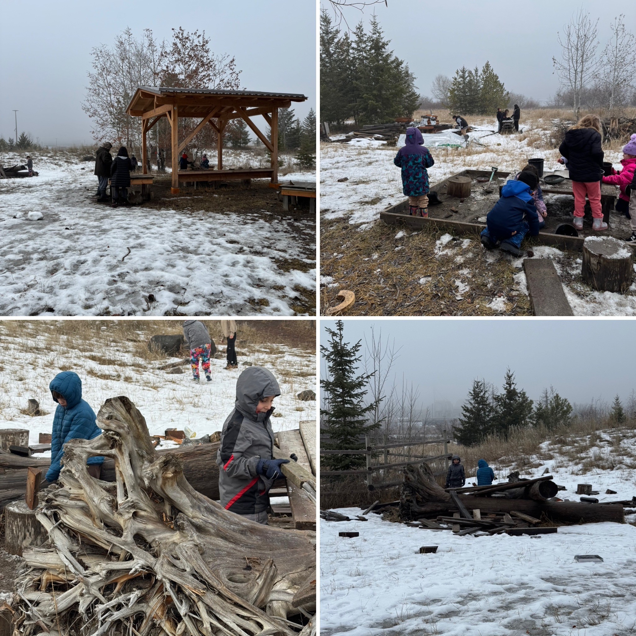 Scout Island Winter heather mckinnon