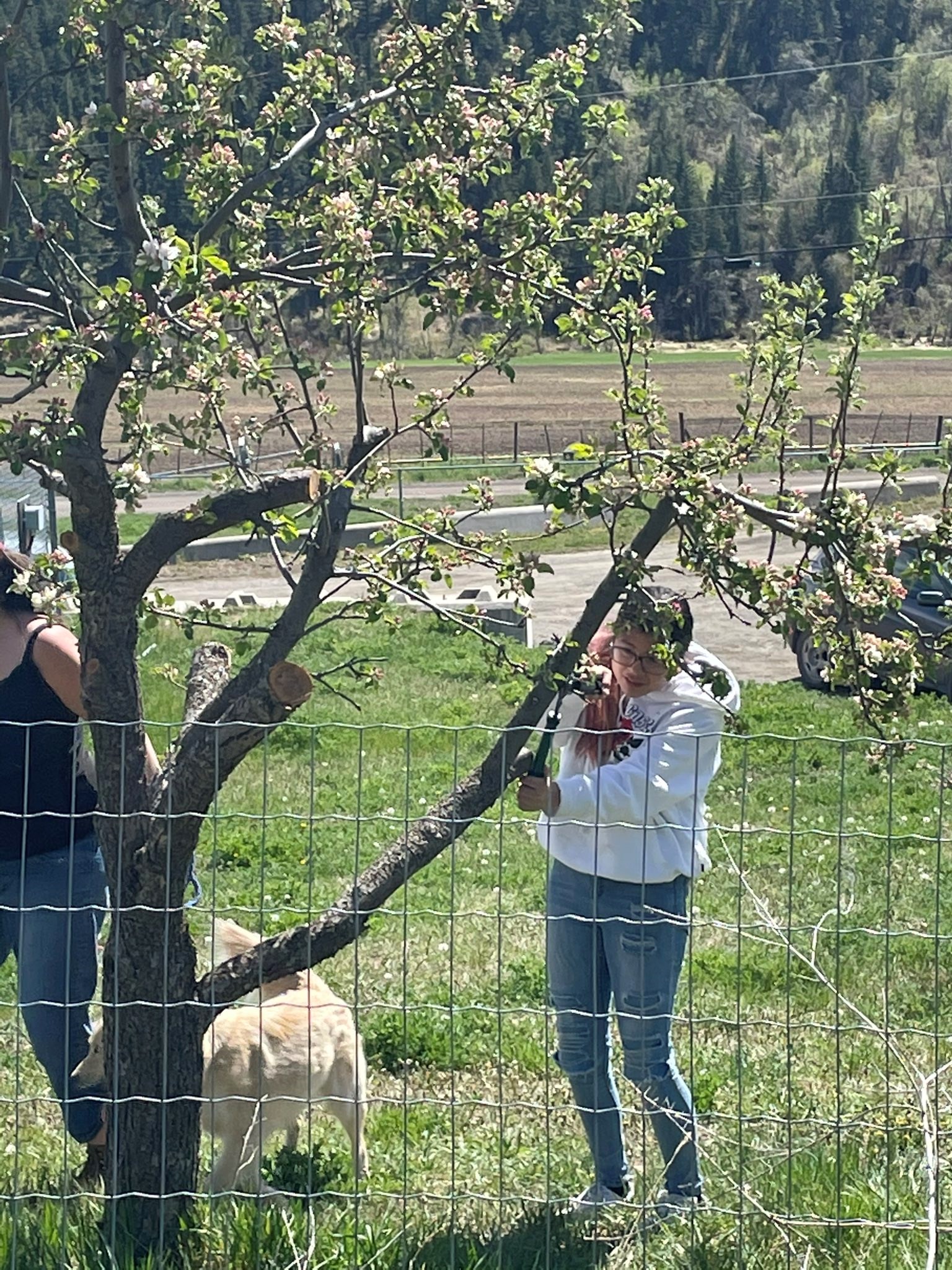 Preparing%20the%20garden%20at%20Dog%20Creek.jfif