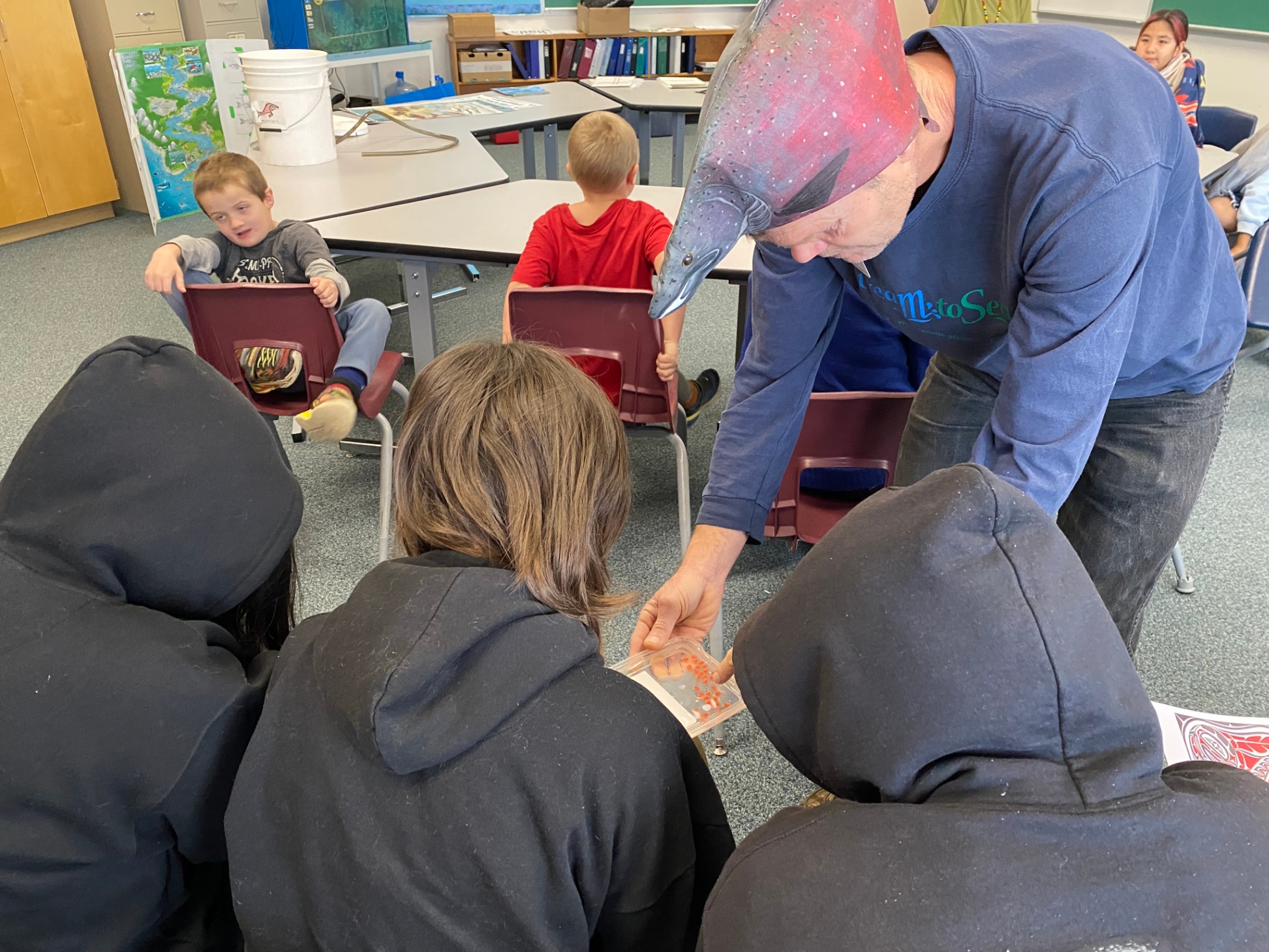 Learning about the Life cycle of Salmon 2 helen wight