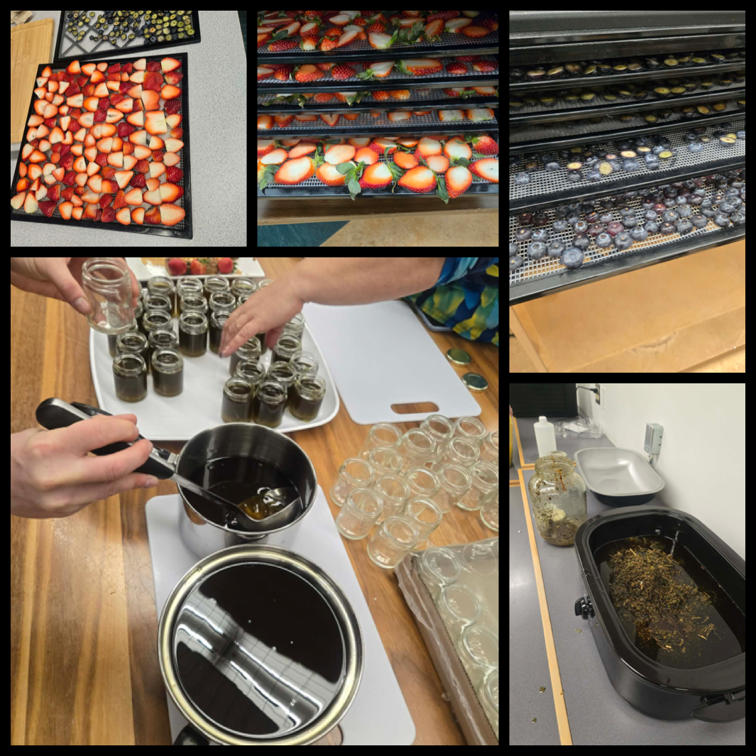 Medicine Series Professional Development Day2 Dancing Water Sandy